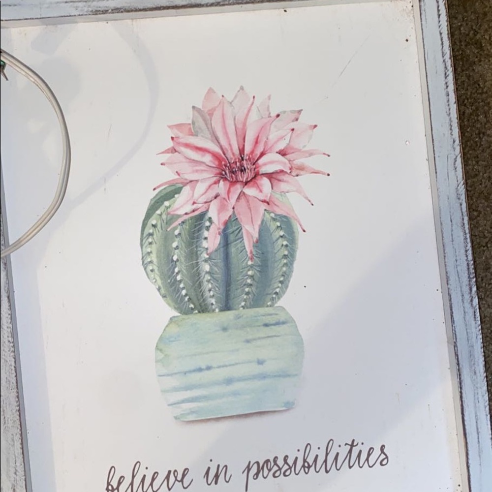 Cactus home decor
